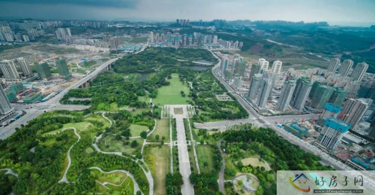 实景图
