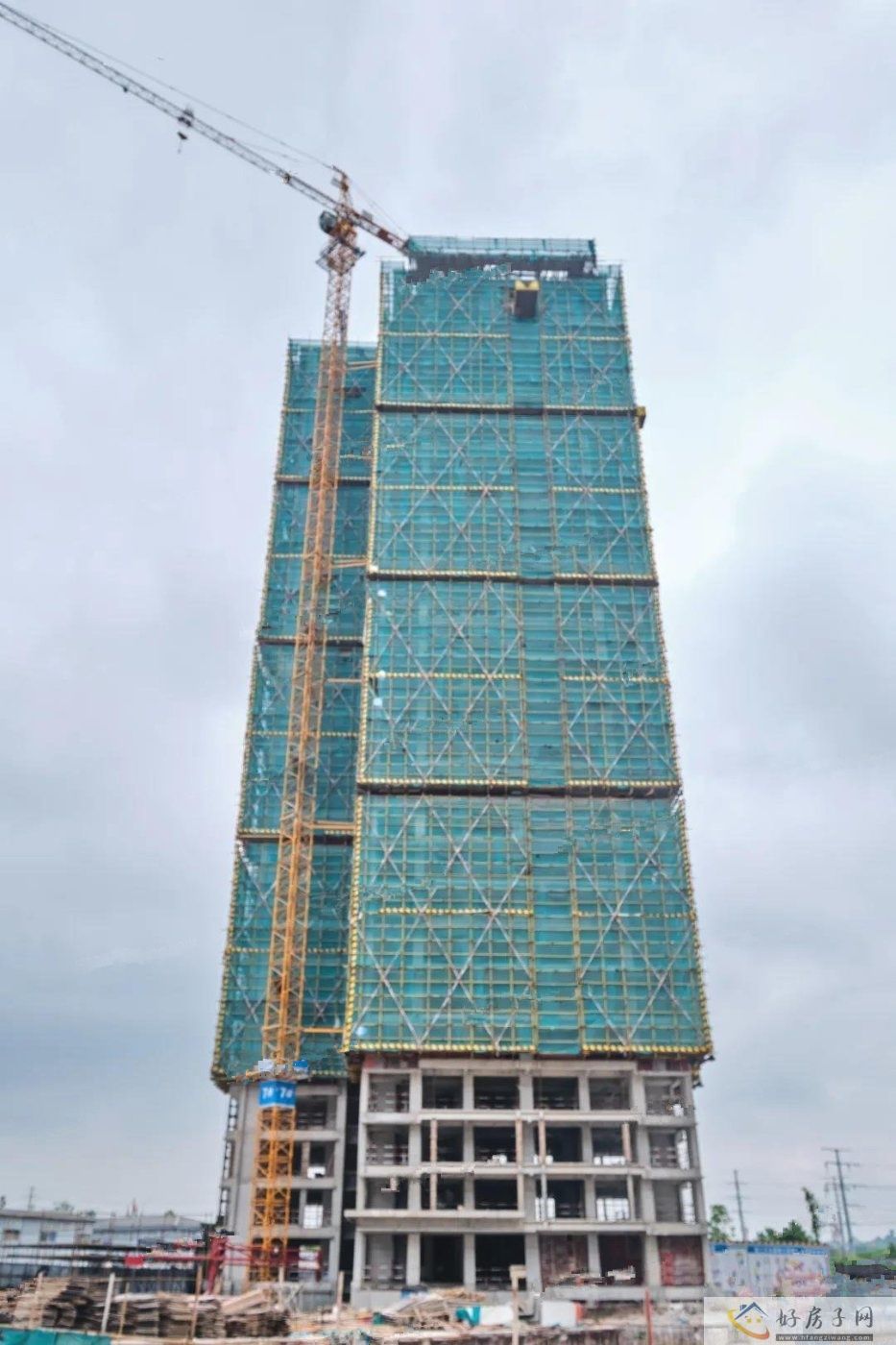 实景图
