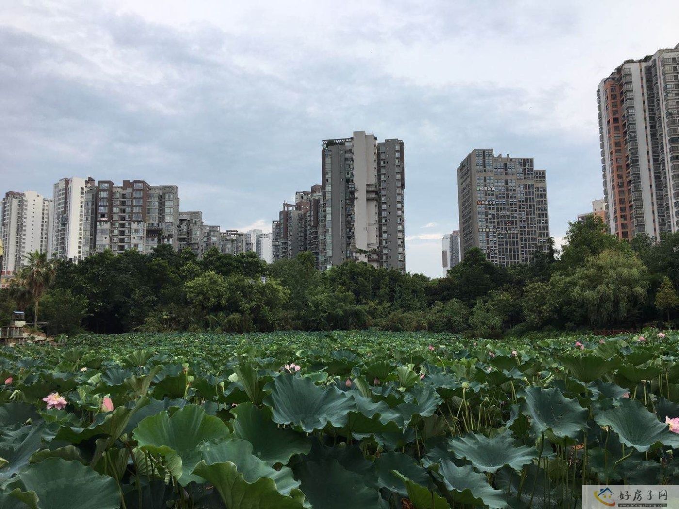 配套图