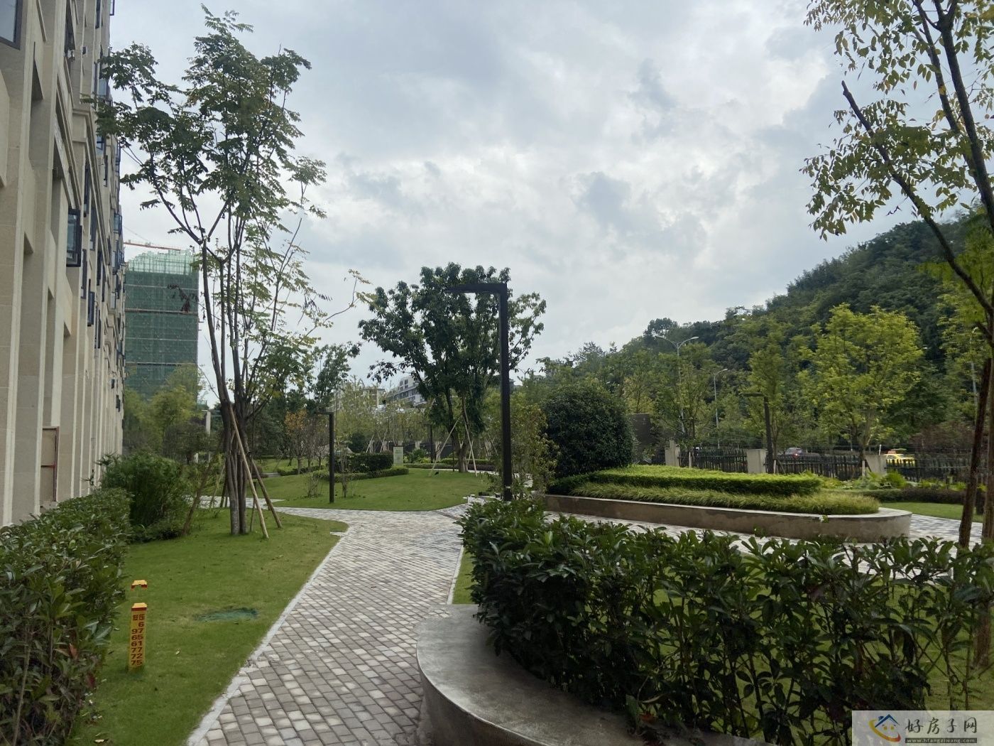 实景图