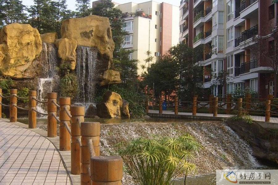 实景图