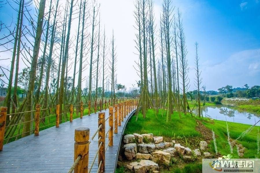 实景图