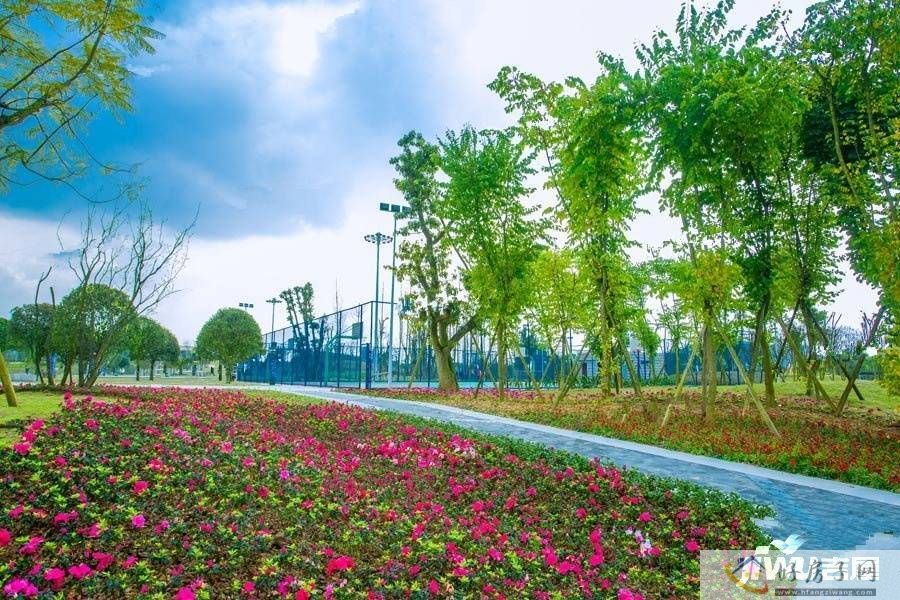 实景图
