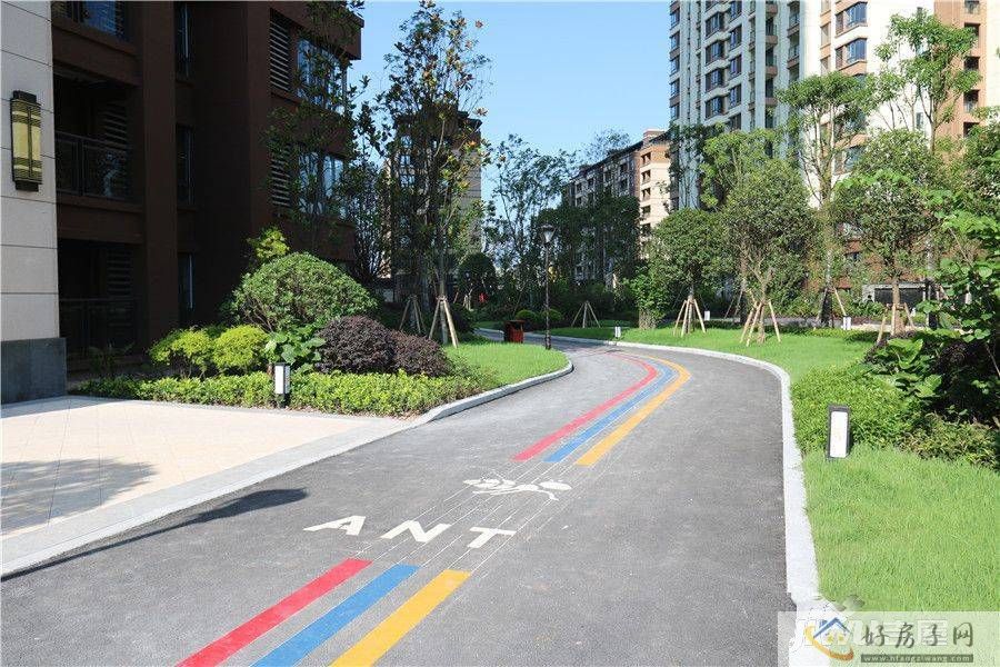 实景图