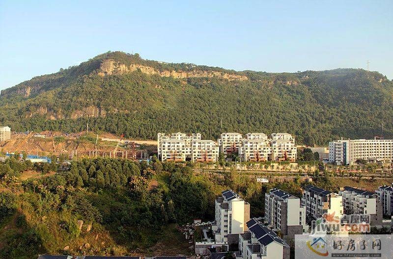 实景图