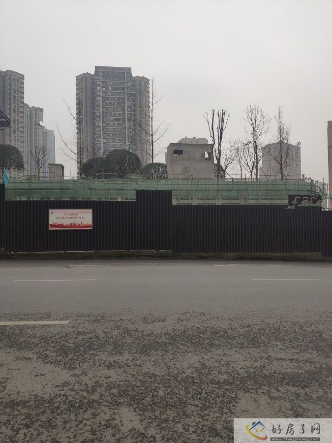 实景图