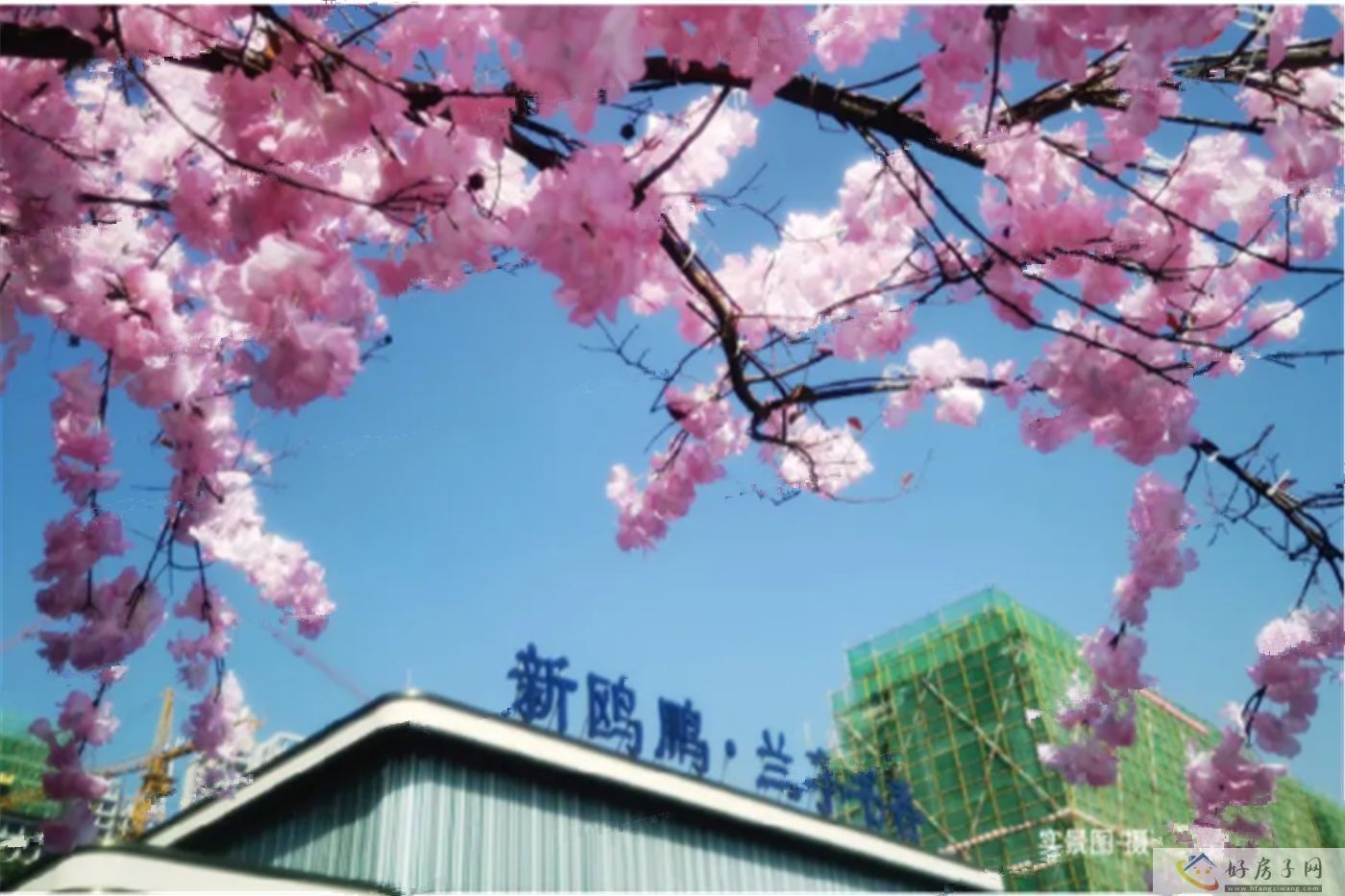实景图