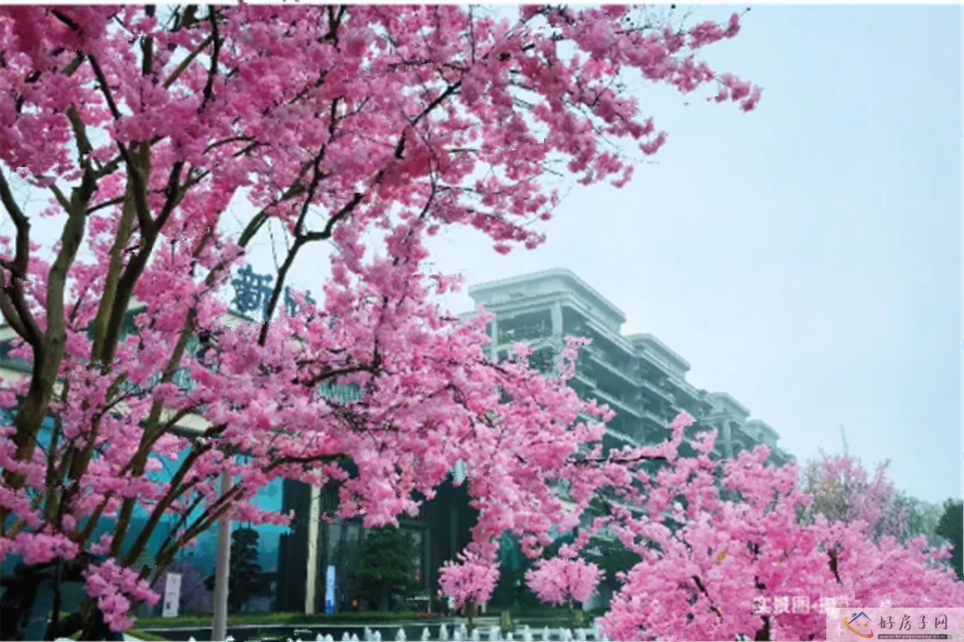 实景图