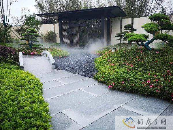 效果图