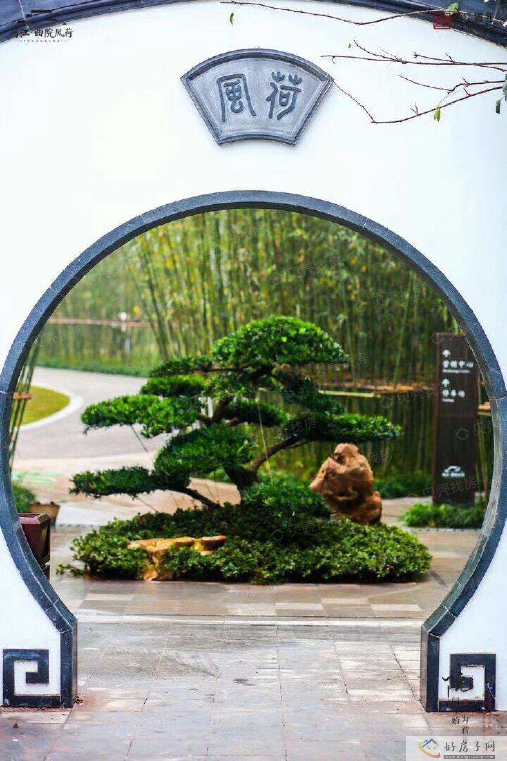 实景图
