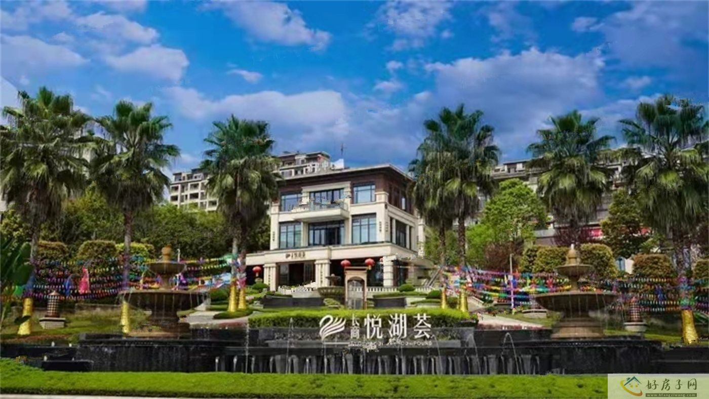 实景图
