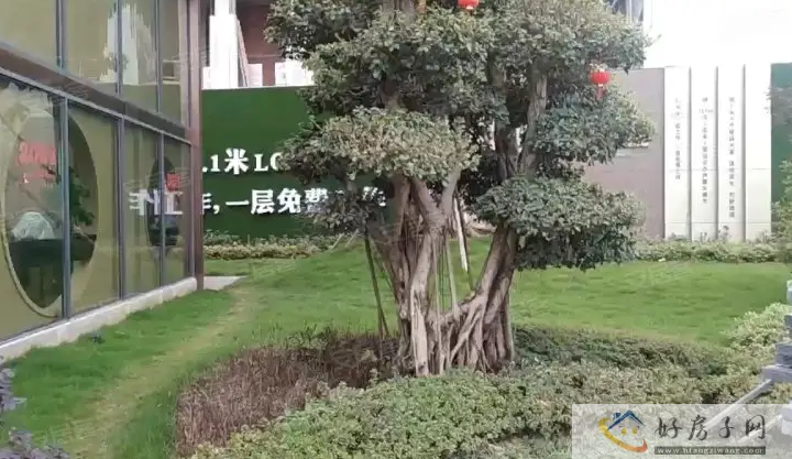 实景图
