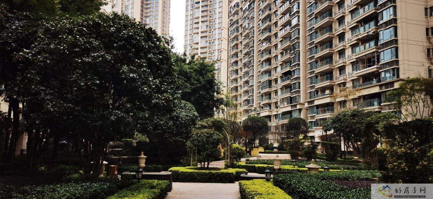 实景图