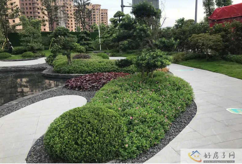 实景图
