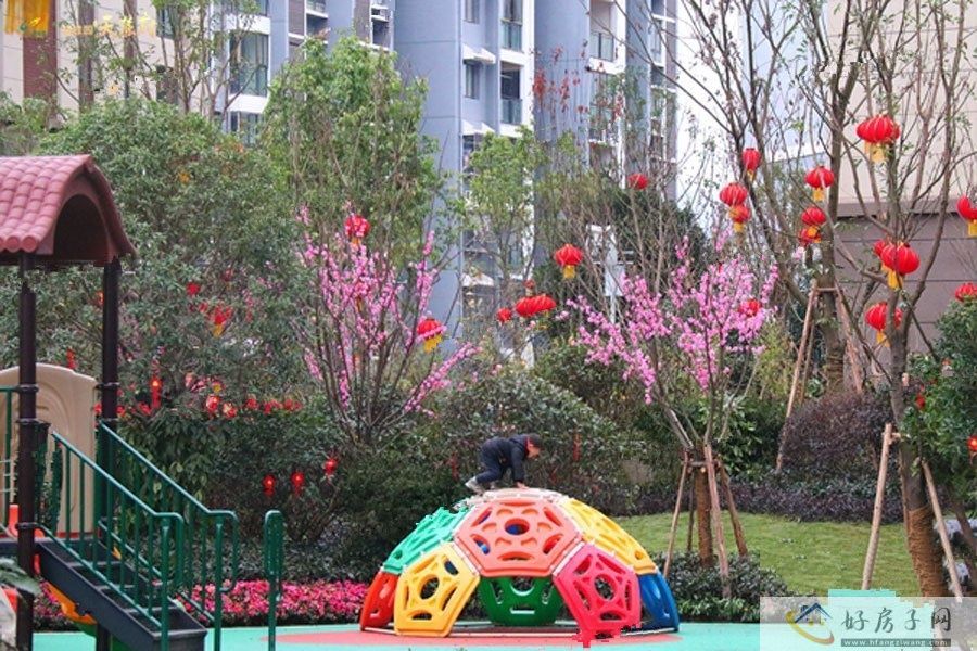 实景图