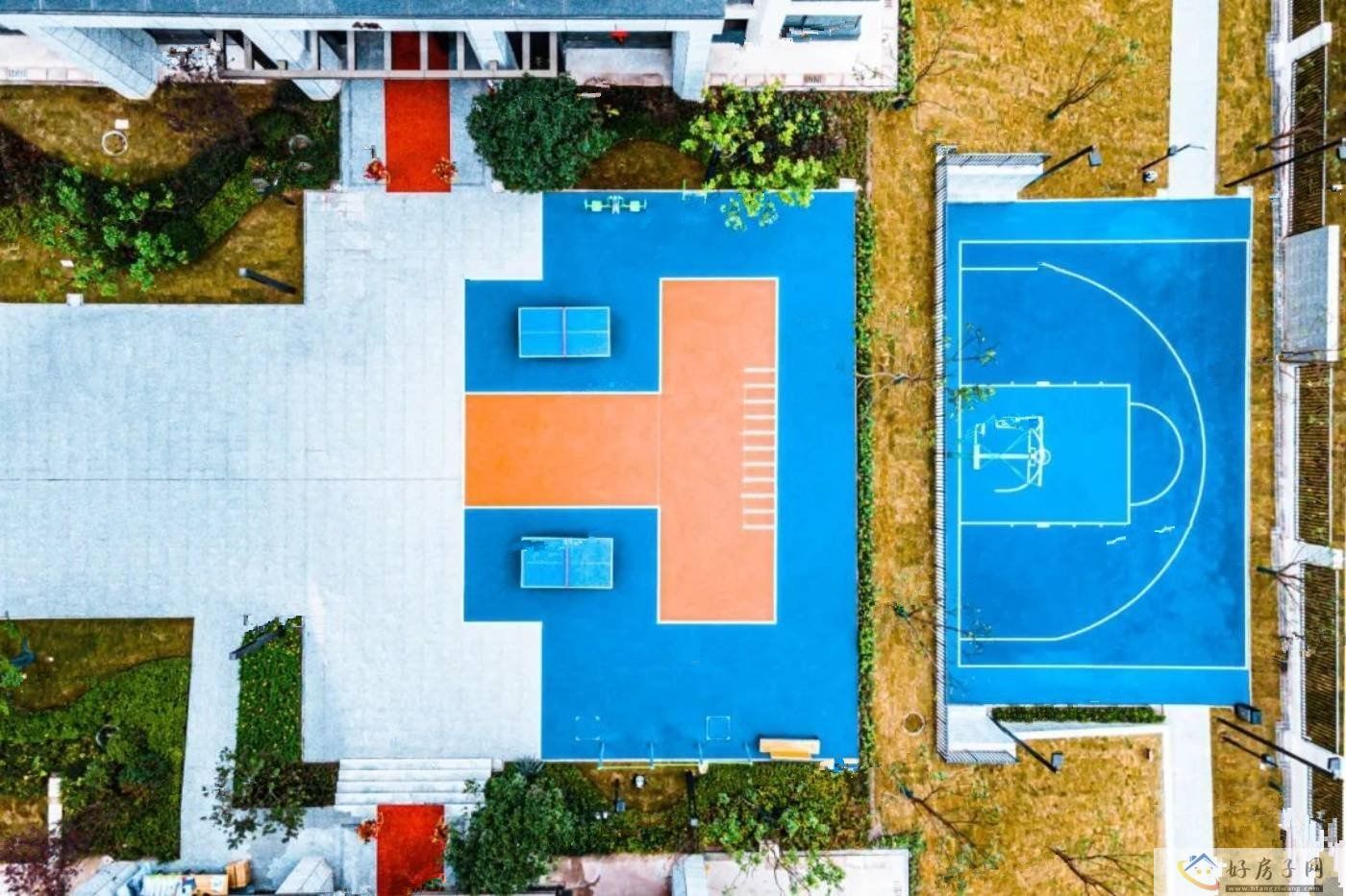 实景图