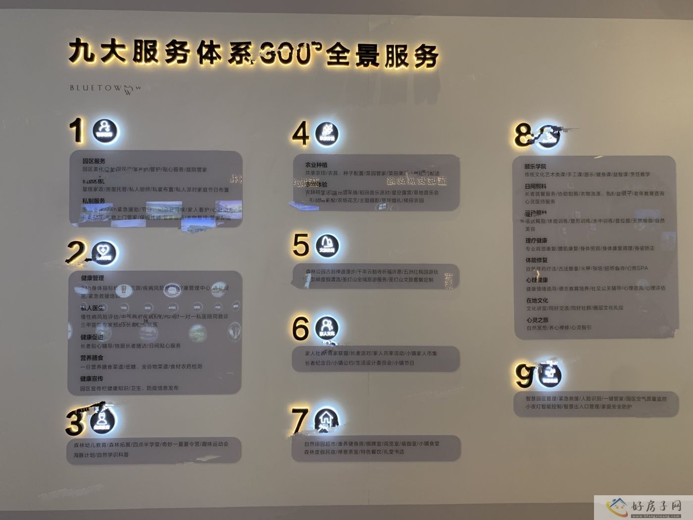 实景图