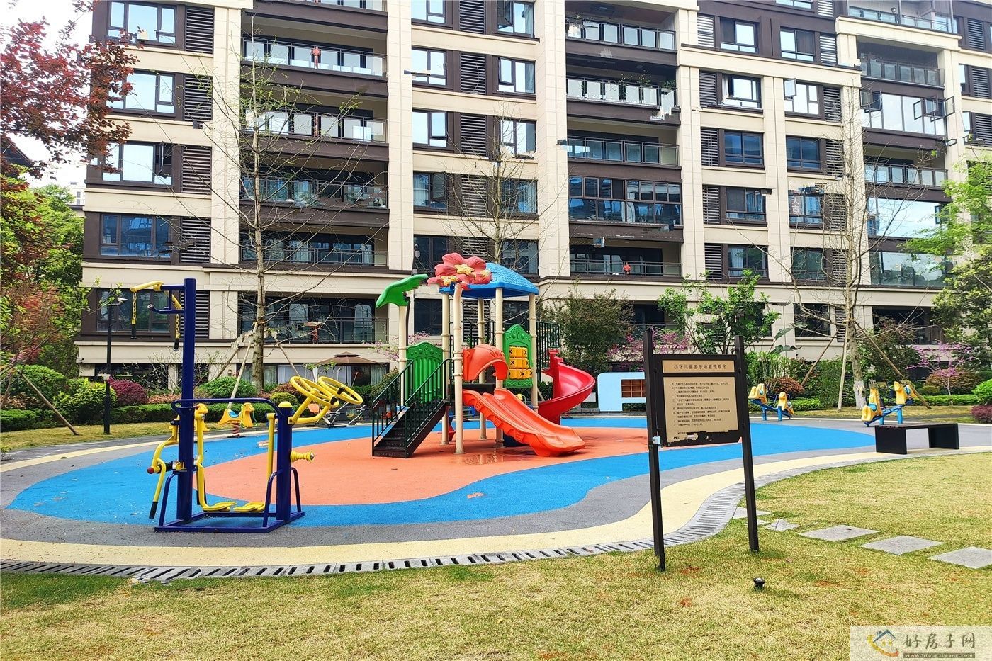 实景图