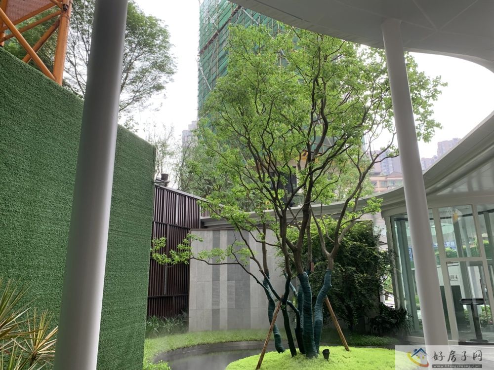 实景图