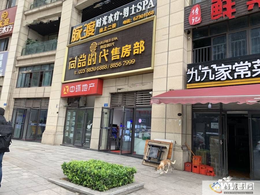 实景图