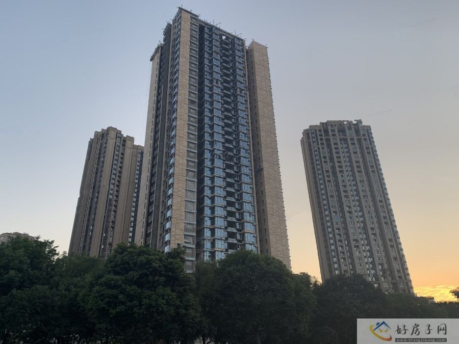 实景图