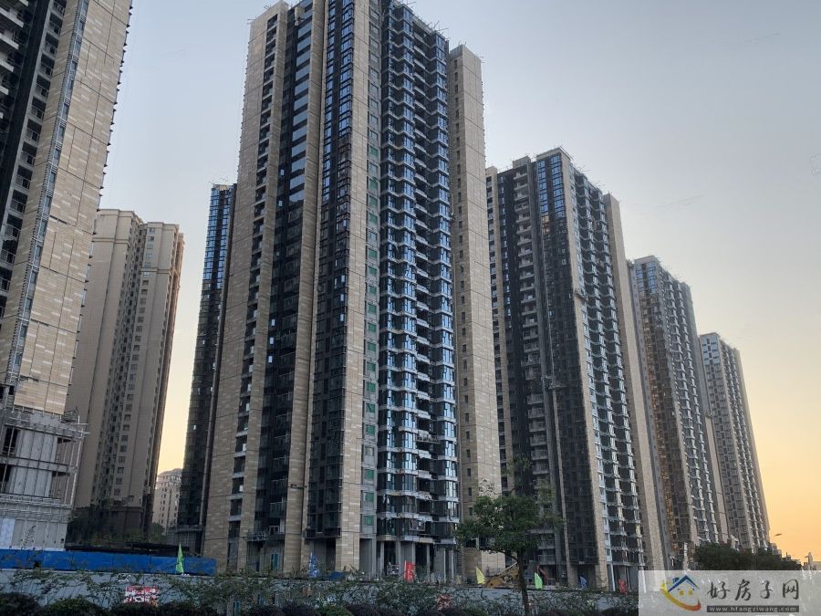 实景图