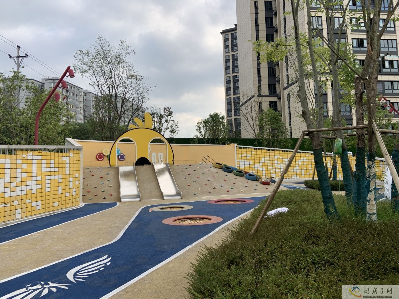 实景图