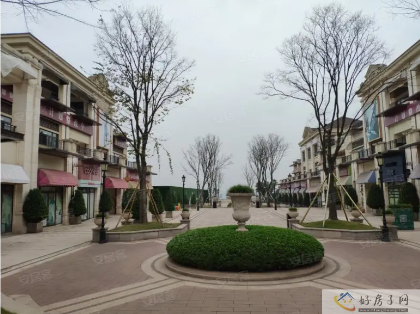 实景图