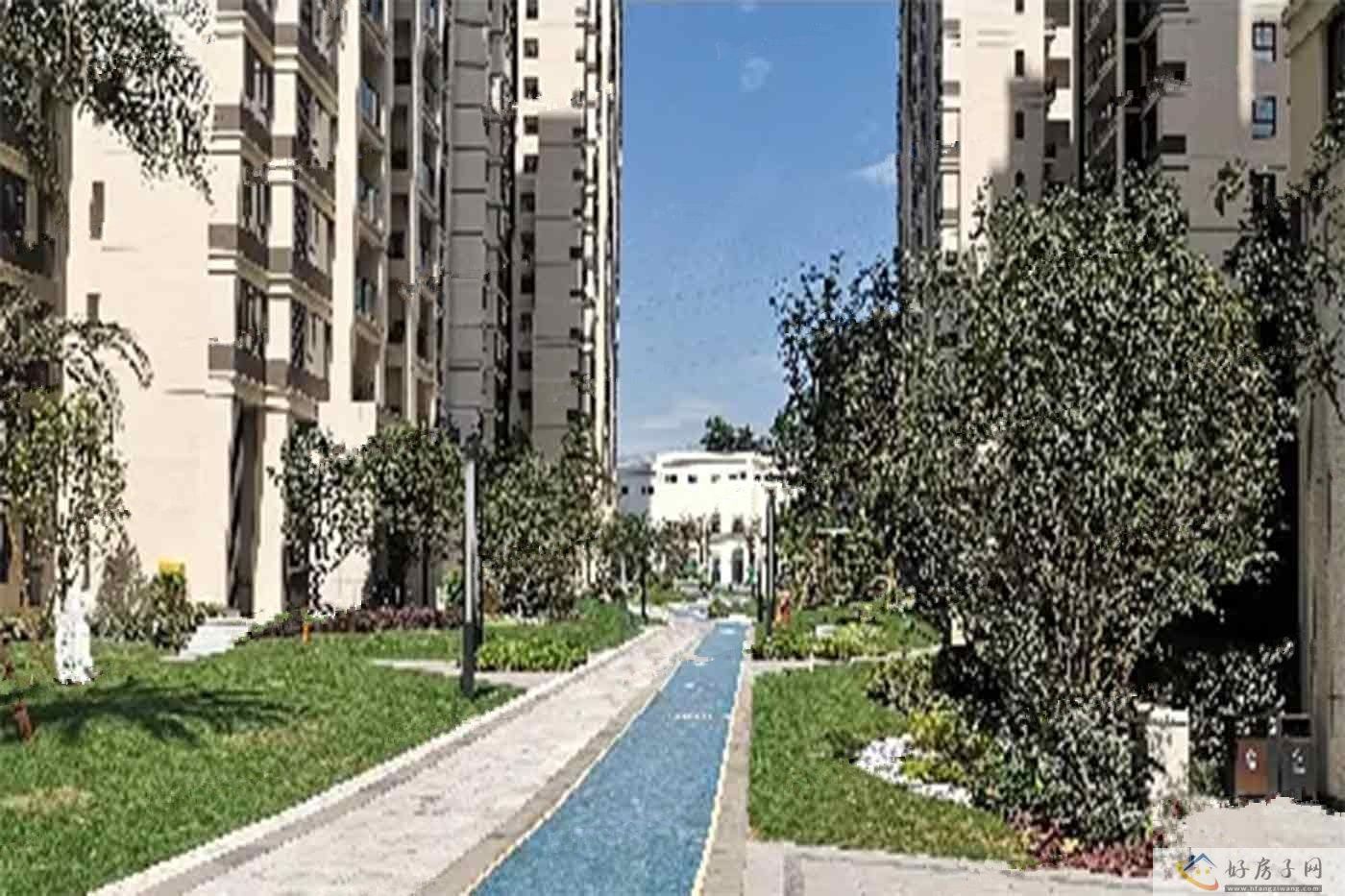 实景图
