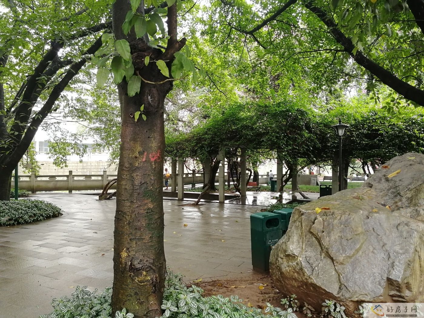 实景图