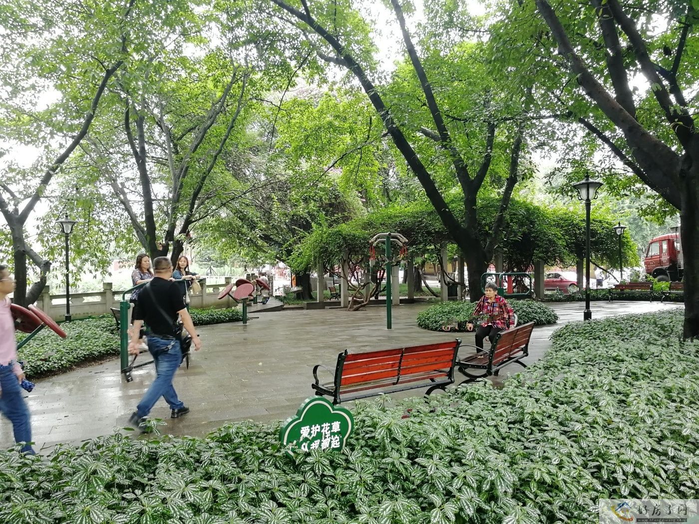 实景图