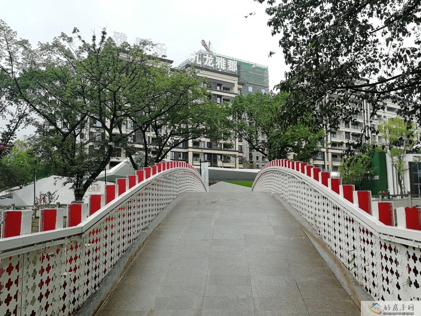 实景图