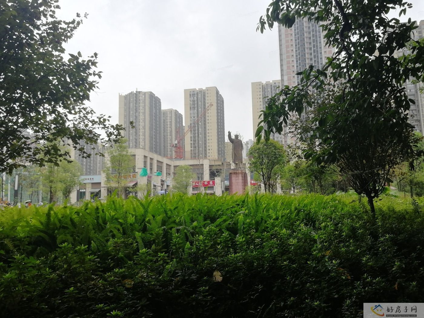 实景图