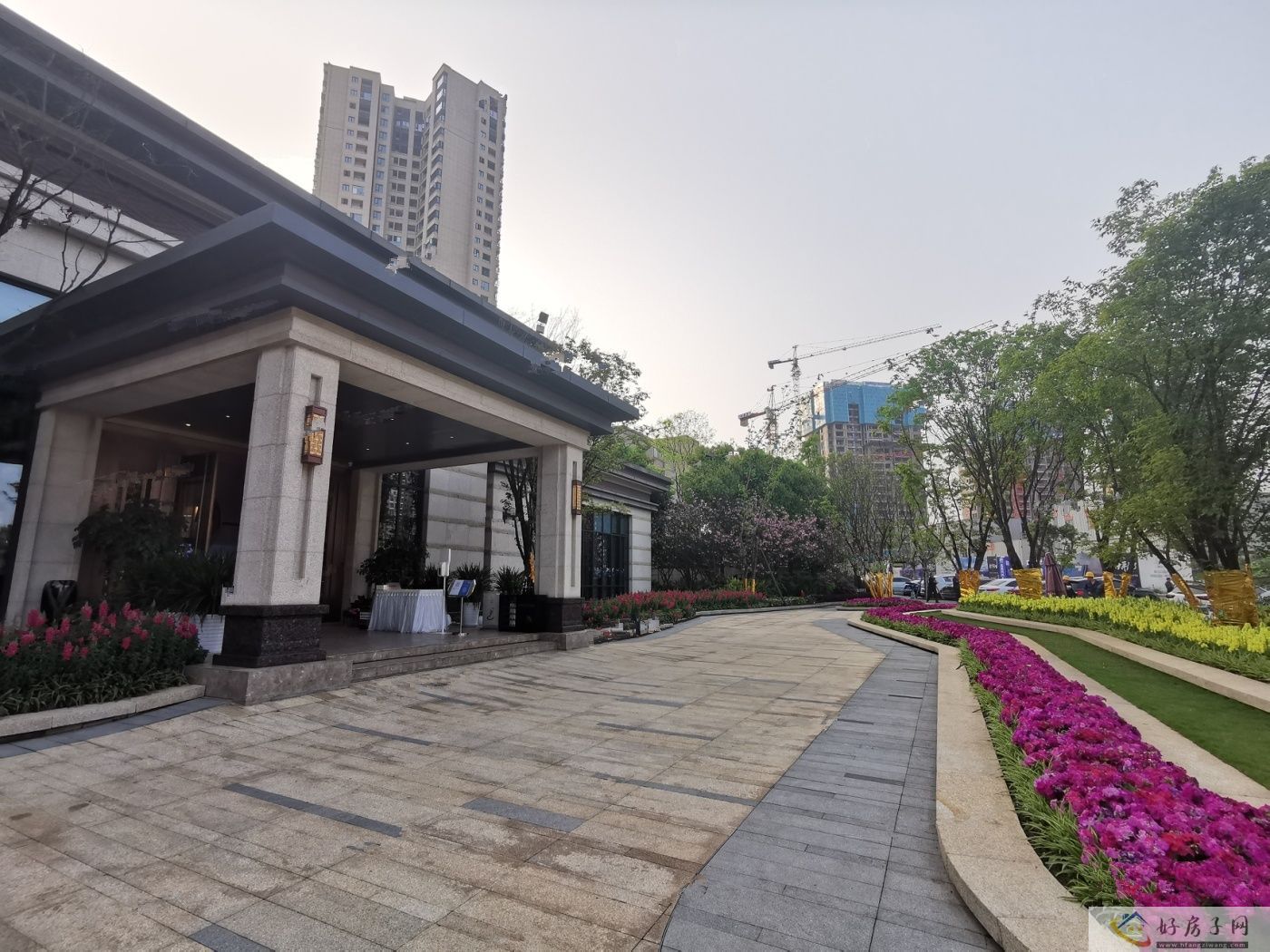 实景图