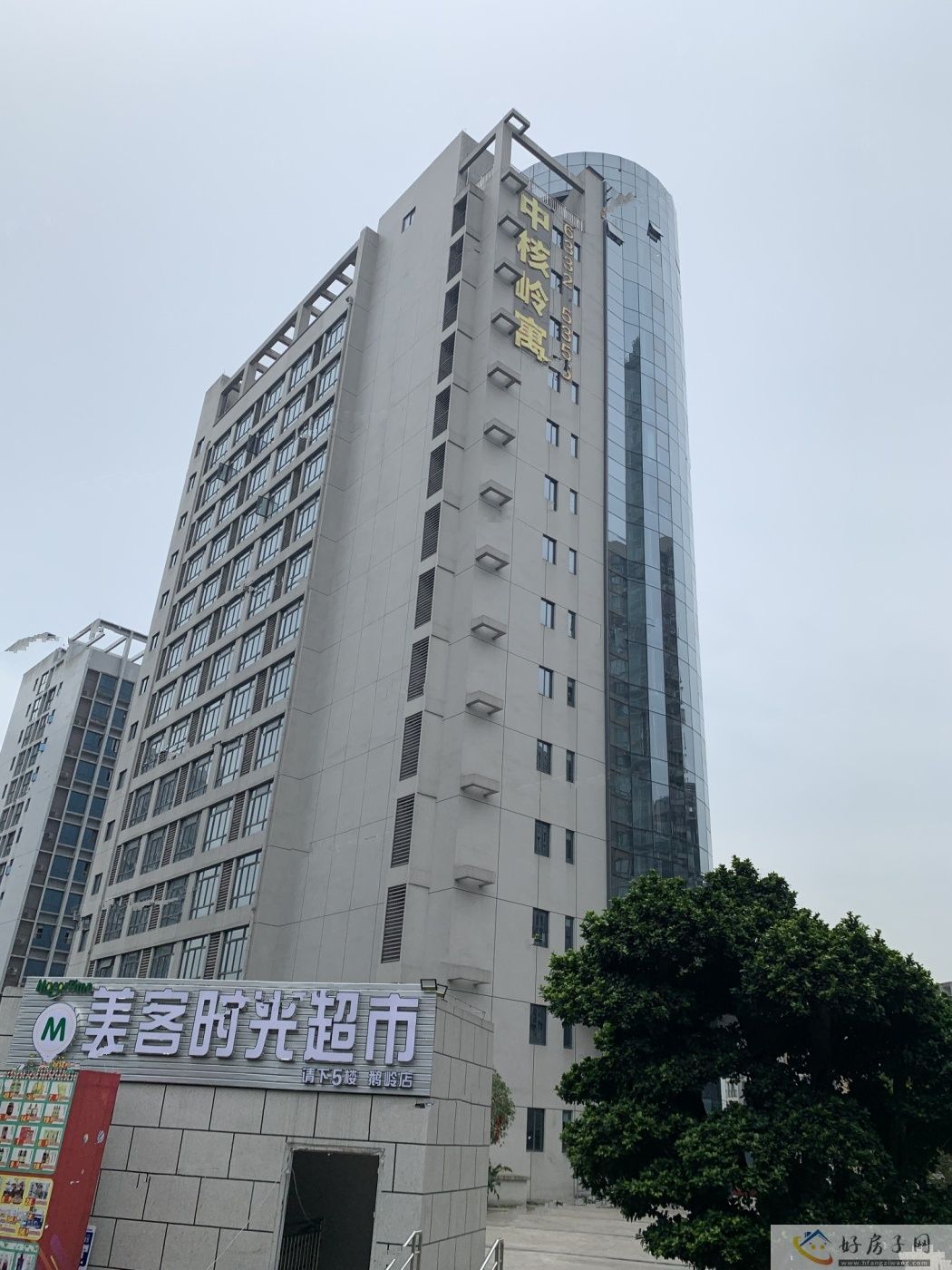 实景图