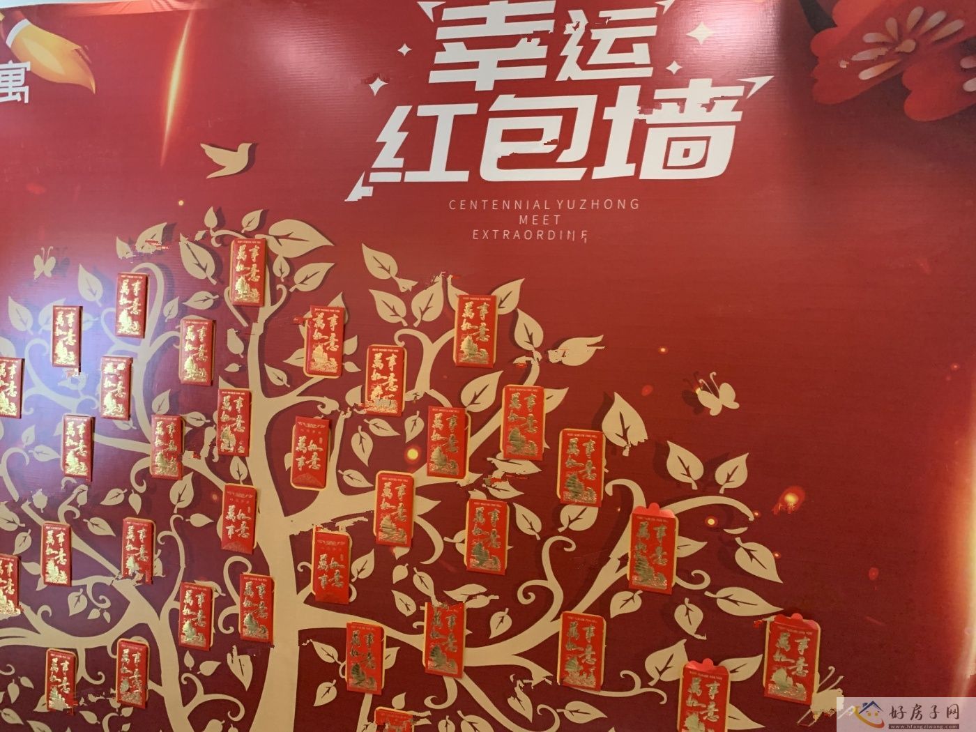 实景图