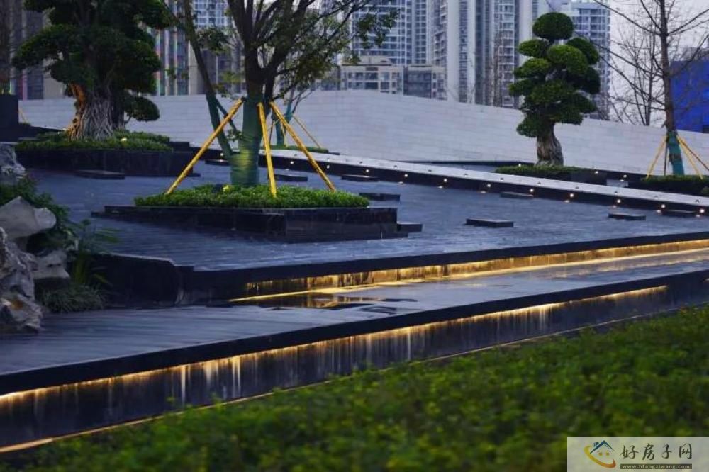 实景图