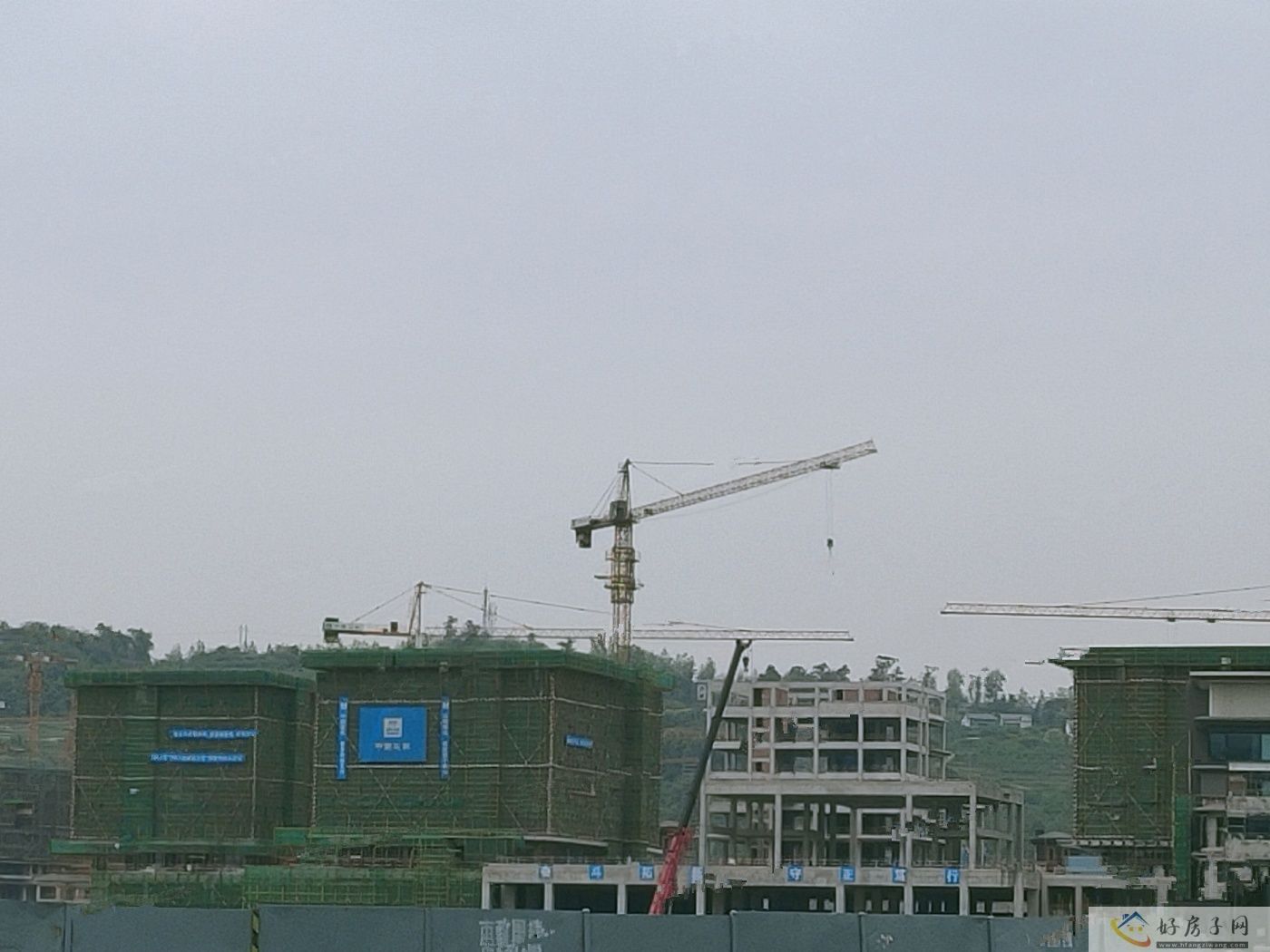 实景图