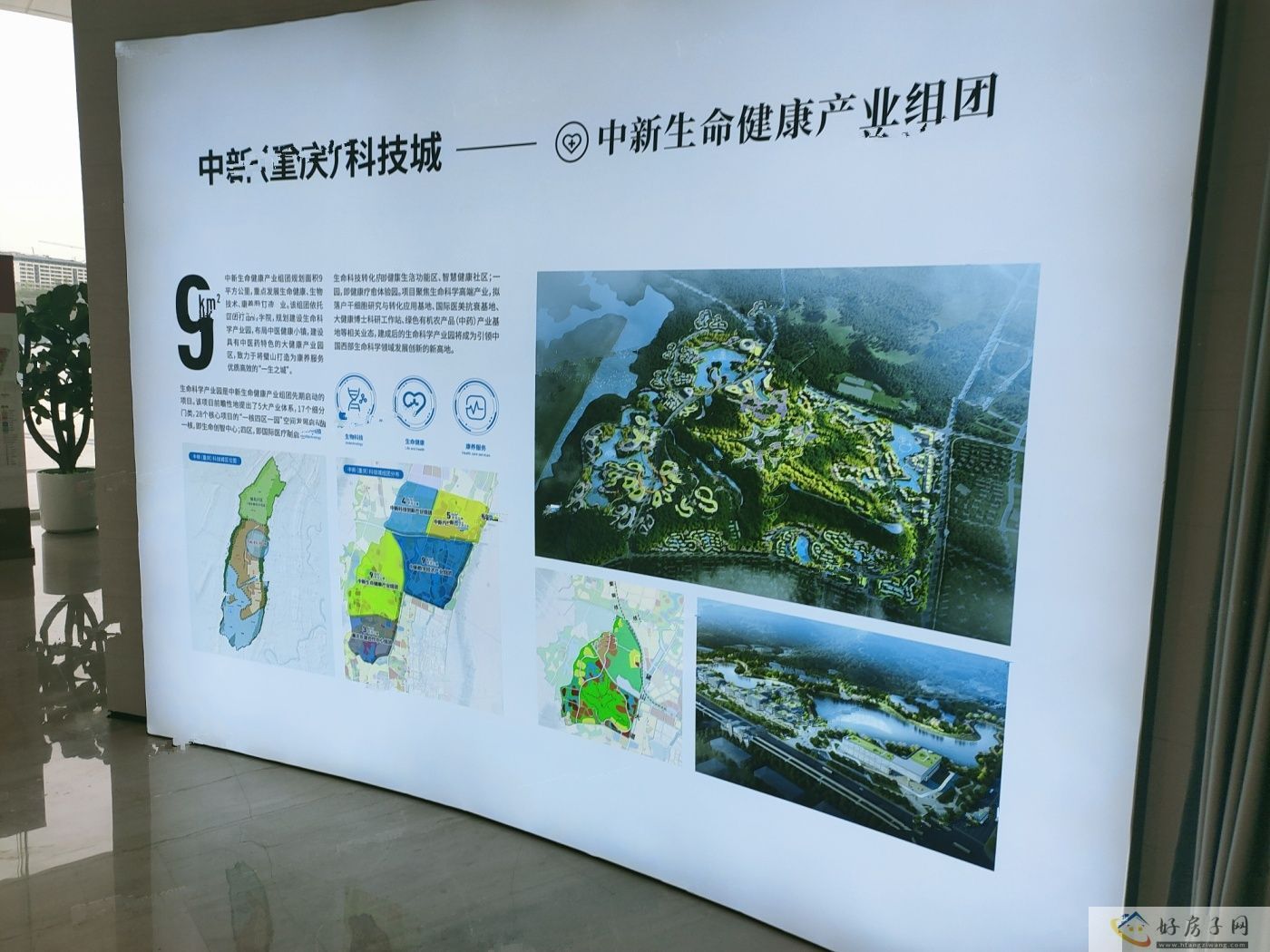 实景图