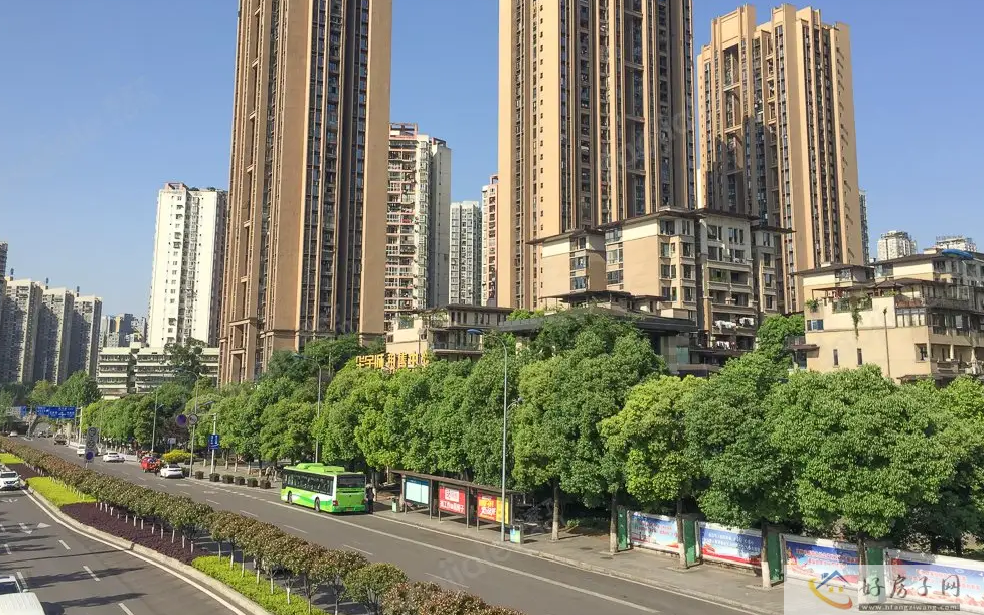 实景图