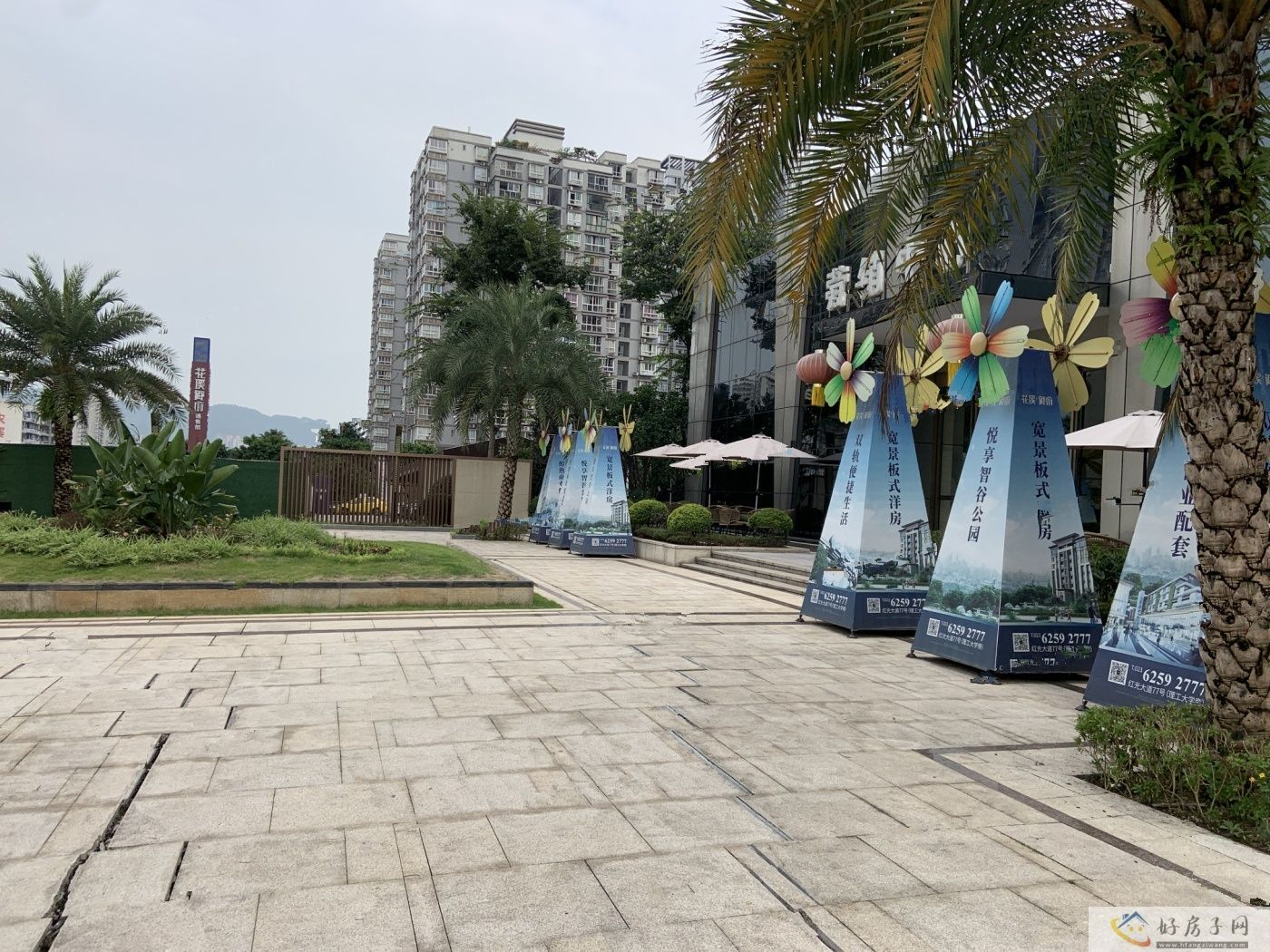 实景图