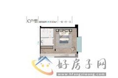 1室1厅1卫0厨 