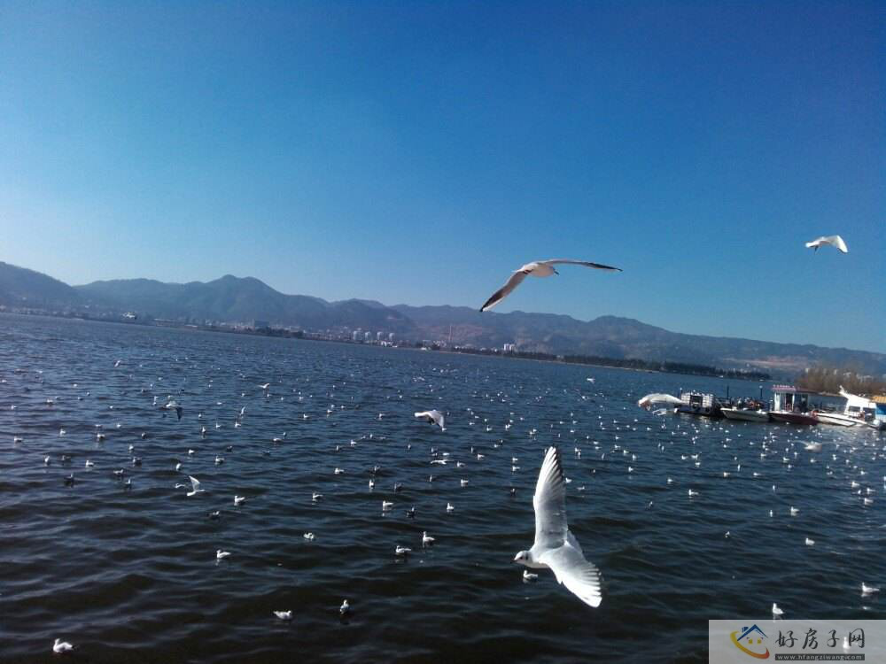 品牌推广