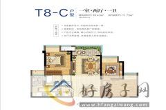 1室2厅1卫0厨 