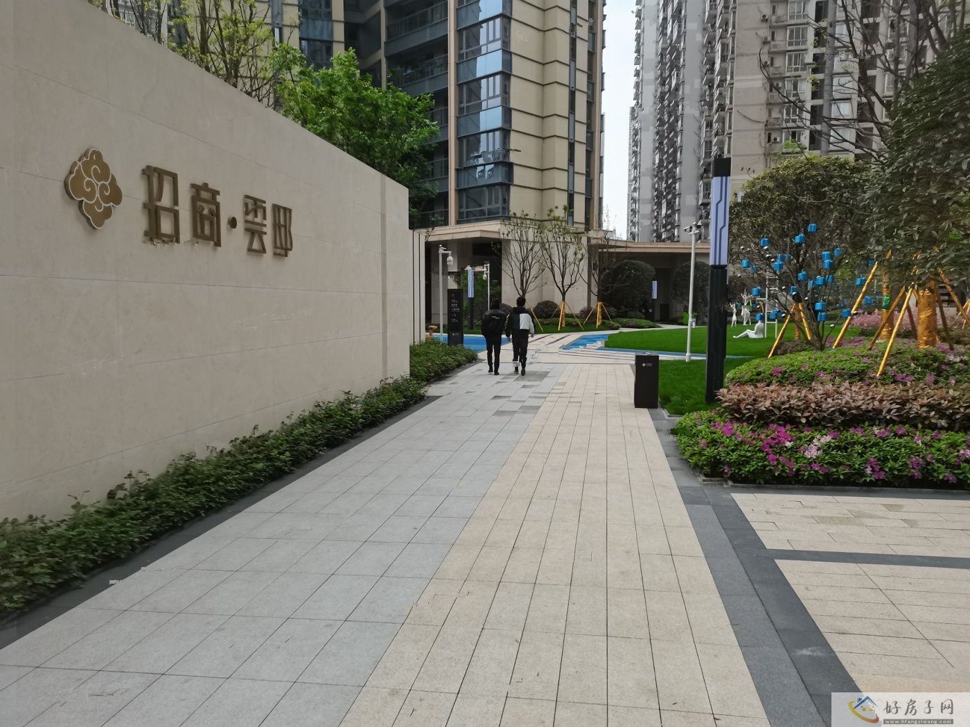 实景图