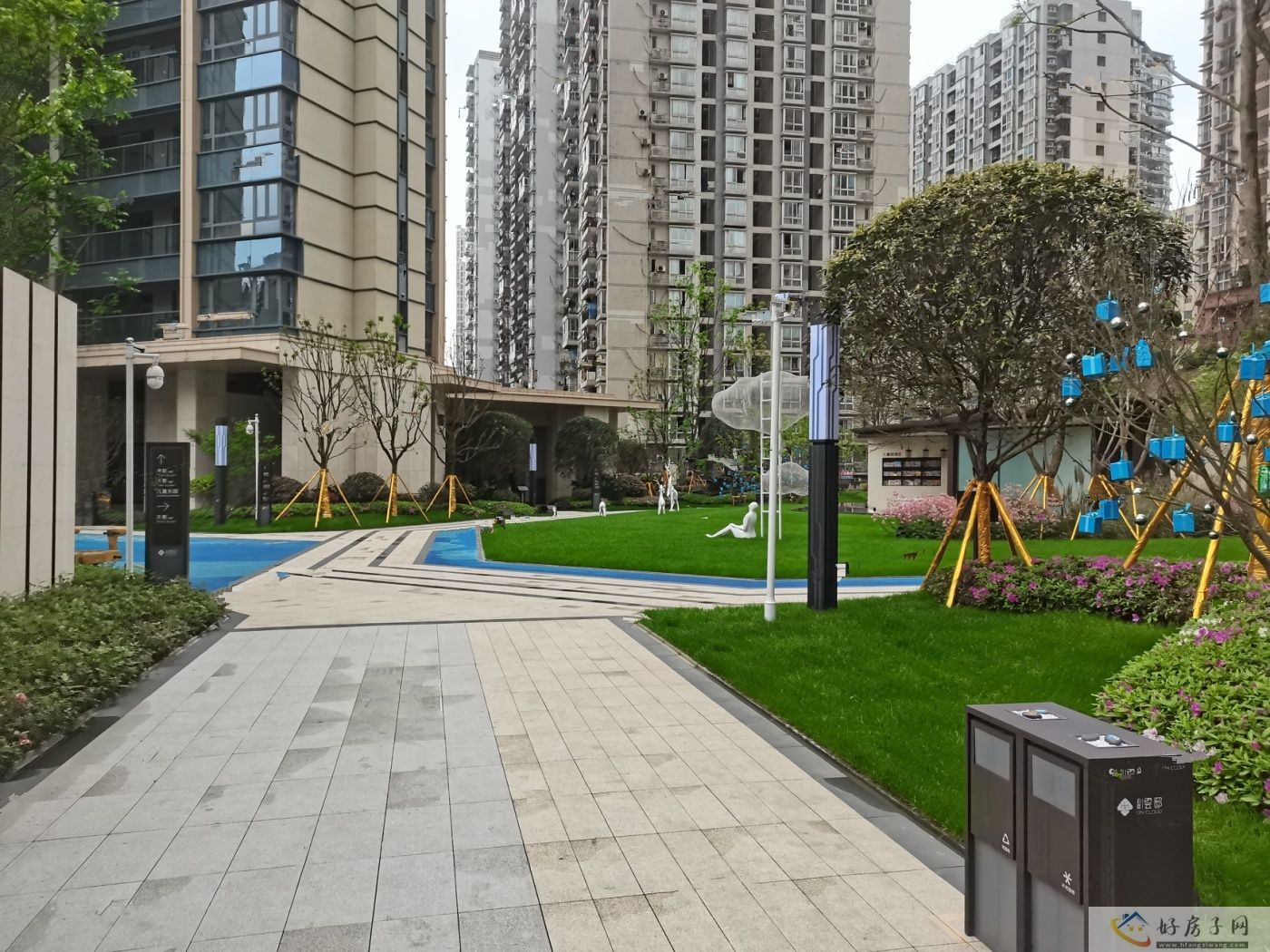 实景图