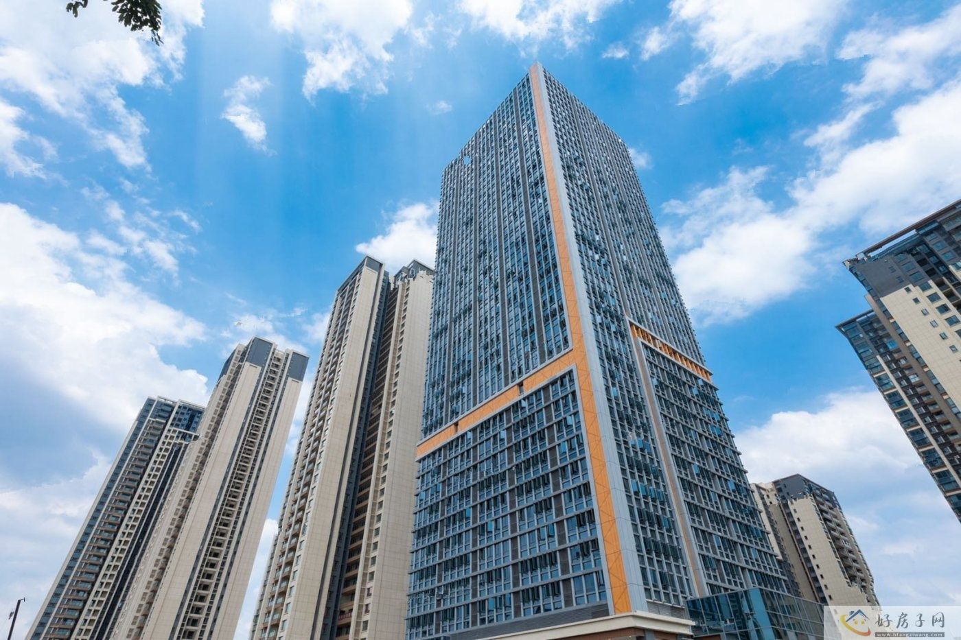 实景图