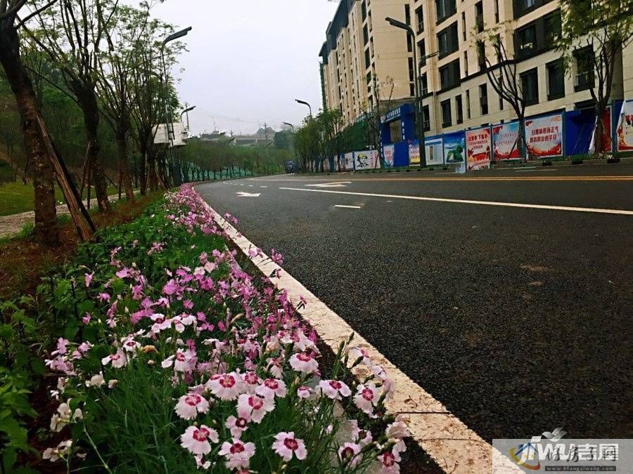 实景图