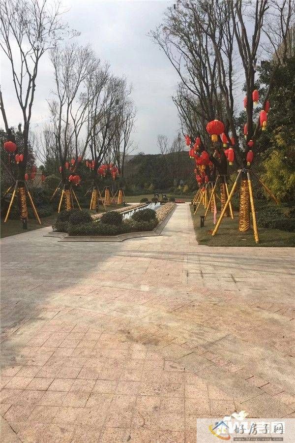实景图