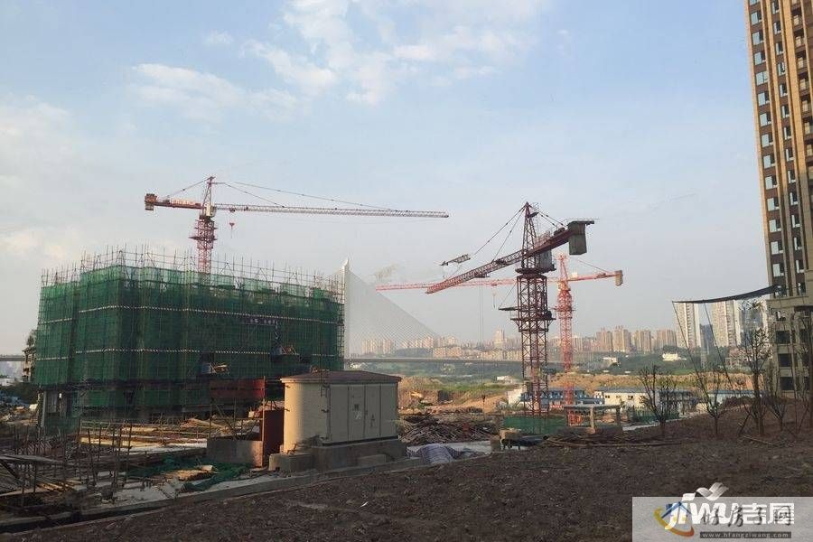 实景图